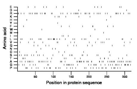 amino acid map