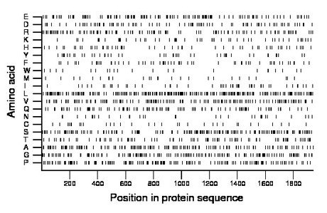 amino acid map