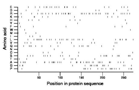 amino acid map