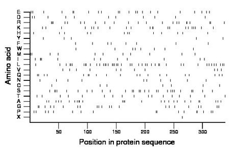 amino acid map