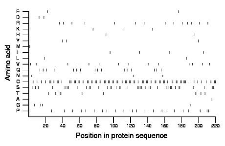 amino acid map