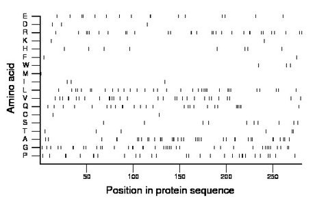 amino acid map