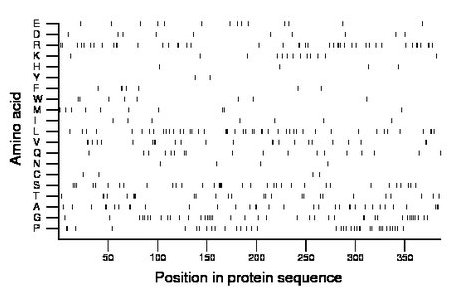 amino acid map