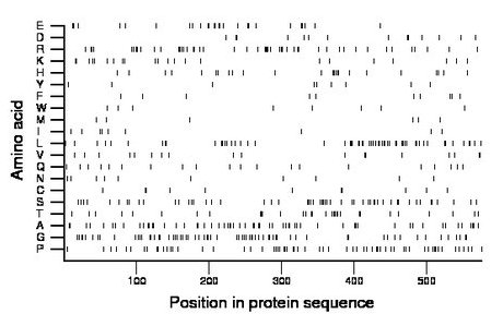 amino acid map