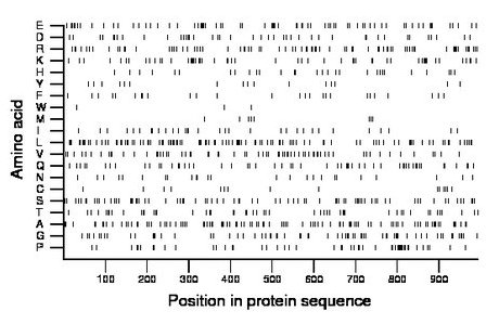 amino acid map