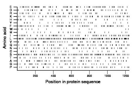 amino acid map