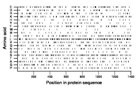 amino acid map