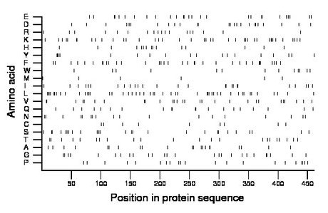 amino acid map