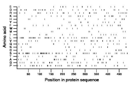 amino acid map