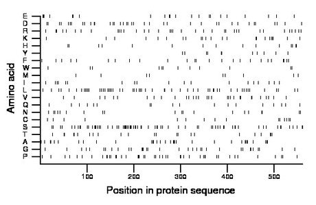 amino acid map