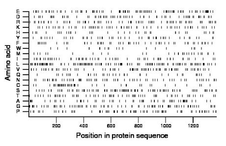 amino acid map