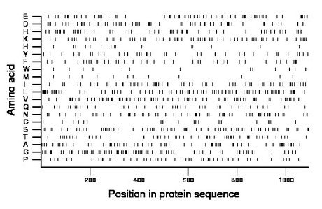 amino acid map