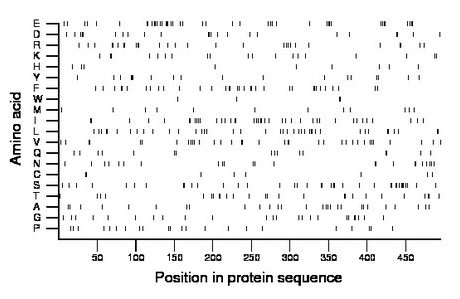 amino acid map