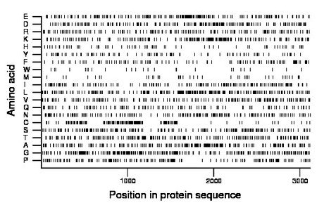 amino acid map