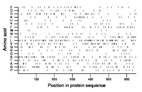 amino acid map