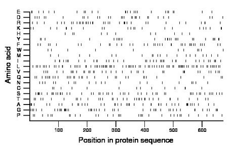 amino acid map