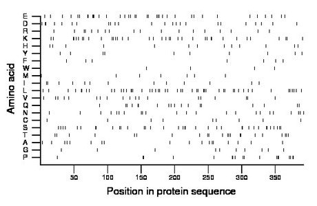 amino acid map