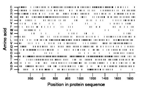 amino acid map