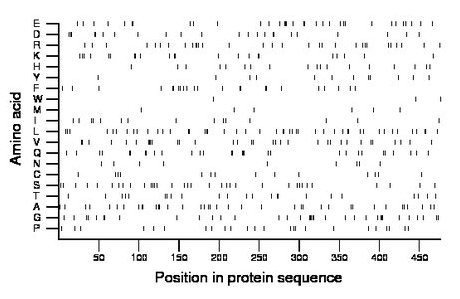 amino acid map