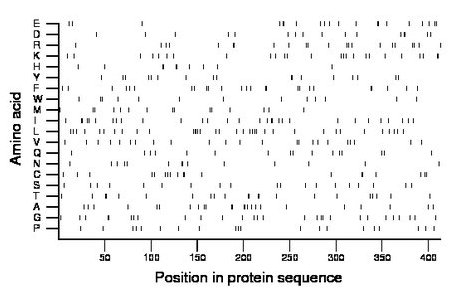 amino acid map