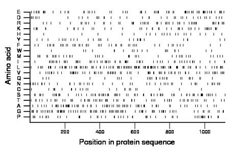 amino acid map