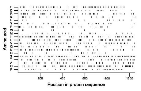 amino acid map