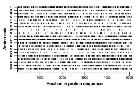 amino acid map