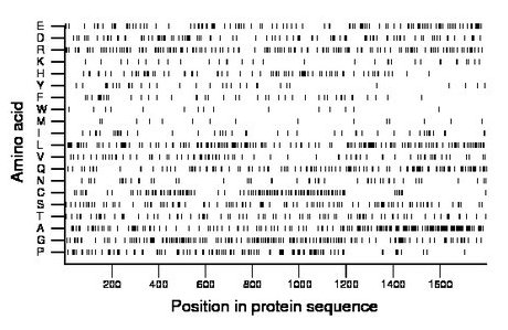 amino acid map