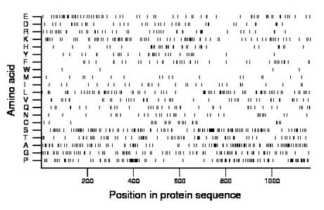 amino acid map