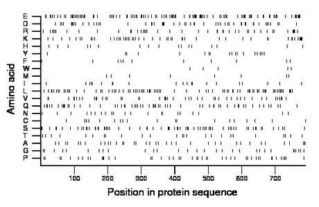 amino acid map