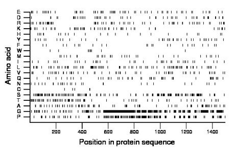 amino acid map