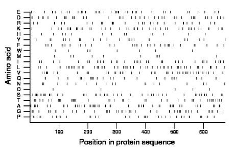 amino acid map