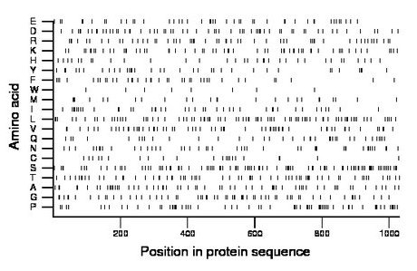 amino acid map