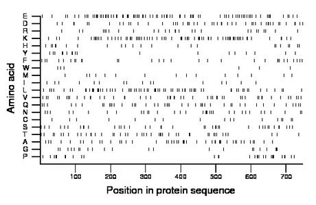 amino acid map