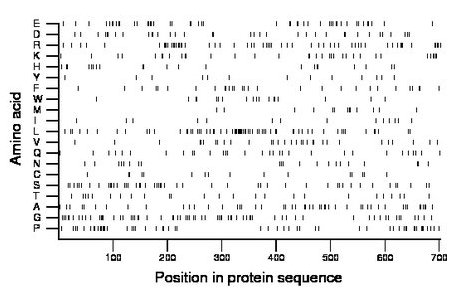 amino acid map