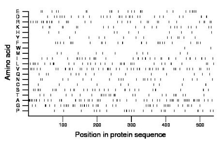 amino acid map