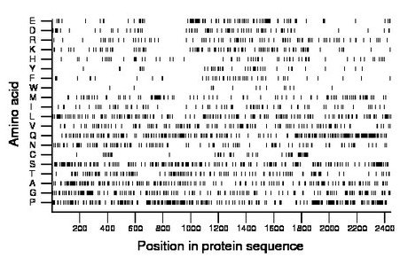 amino acid map