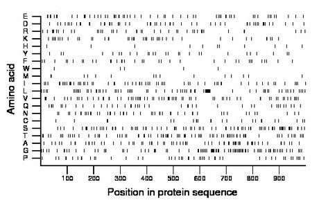 amino acid map