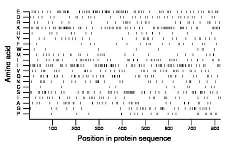 amino acid map