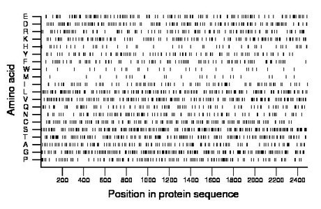 amino acid map