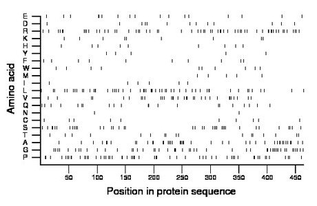 amino acid map