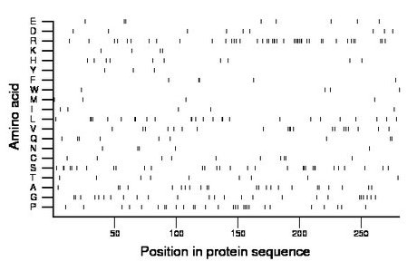 amino acid map