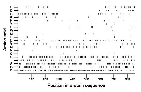 amino acid map