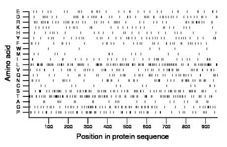 amino acid map