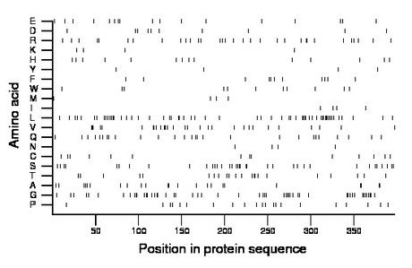 amino acid map