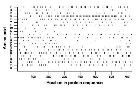 amino acid map