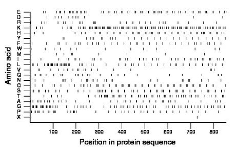 amino acid map