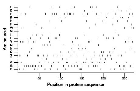 amino acid map