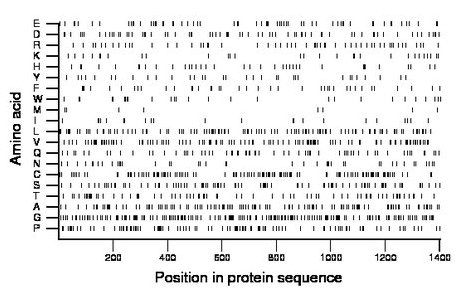 amino acid map