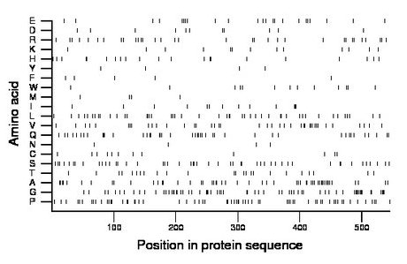 amino acid map